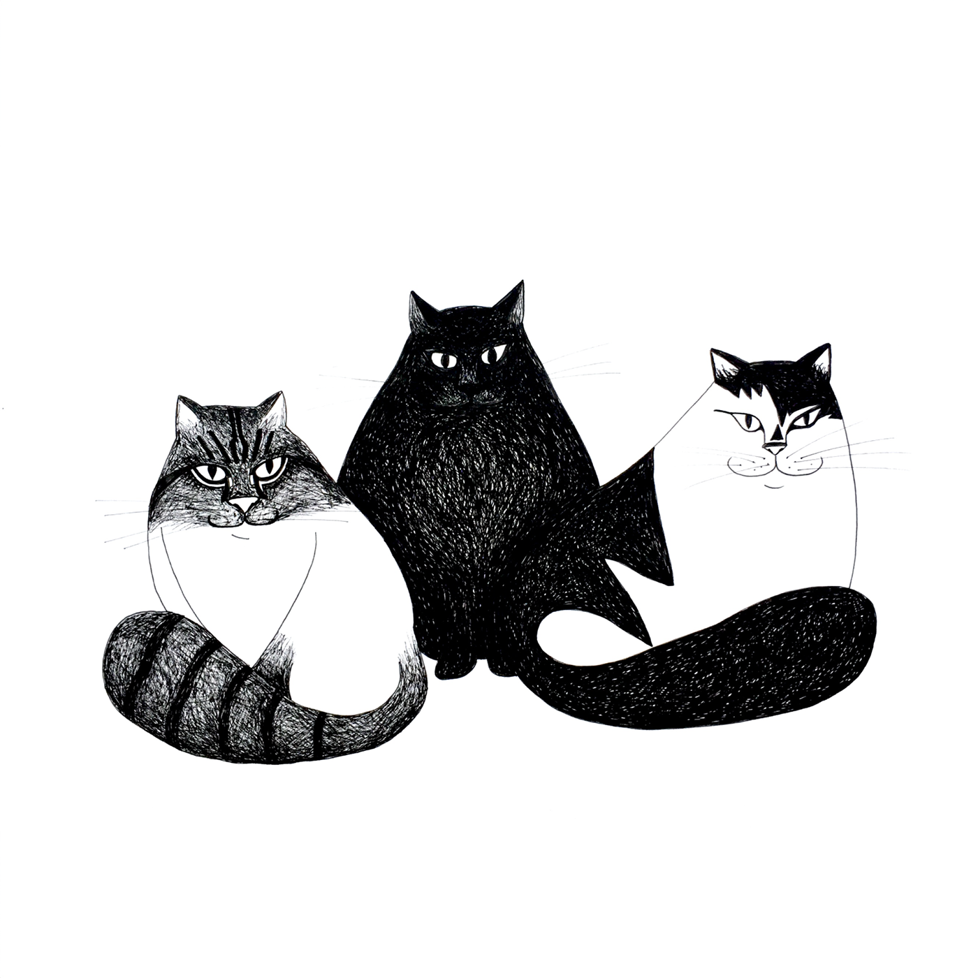 Illustratsioon – ühe pere kassid